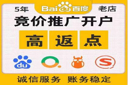 经典案例：SEM代运营服务公司的成功之路